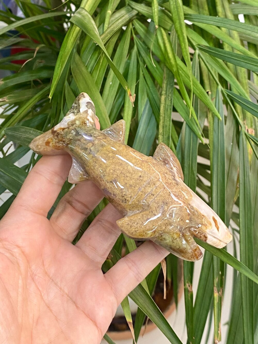 Akik Doğal Taş Köpekbalığı Obje