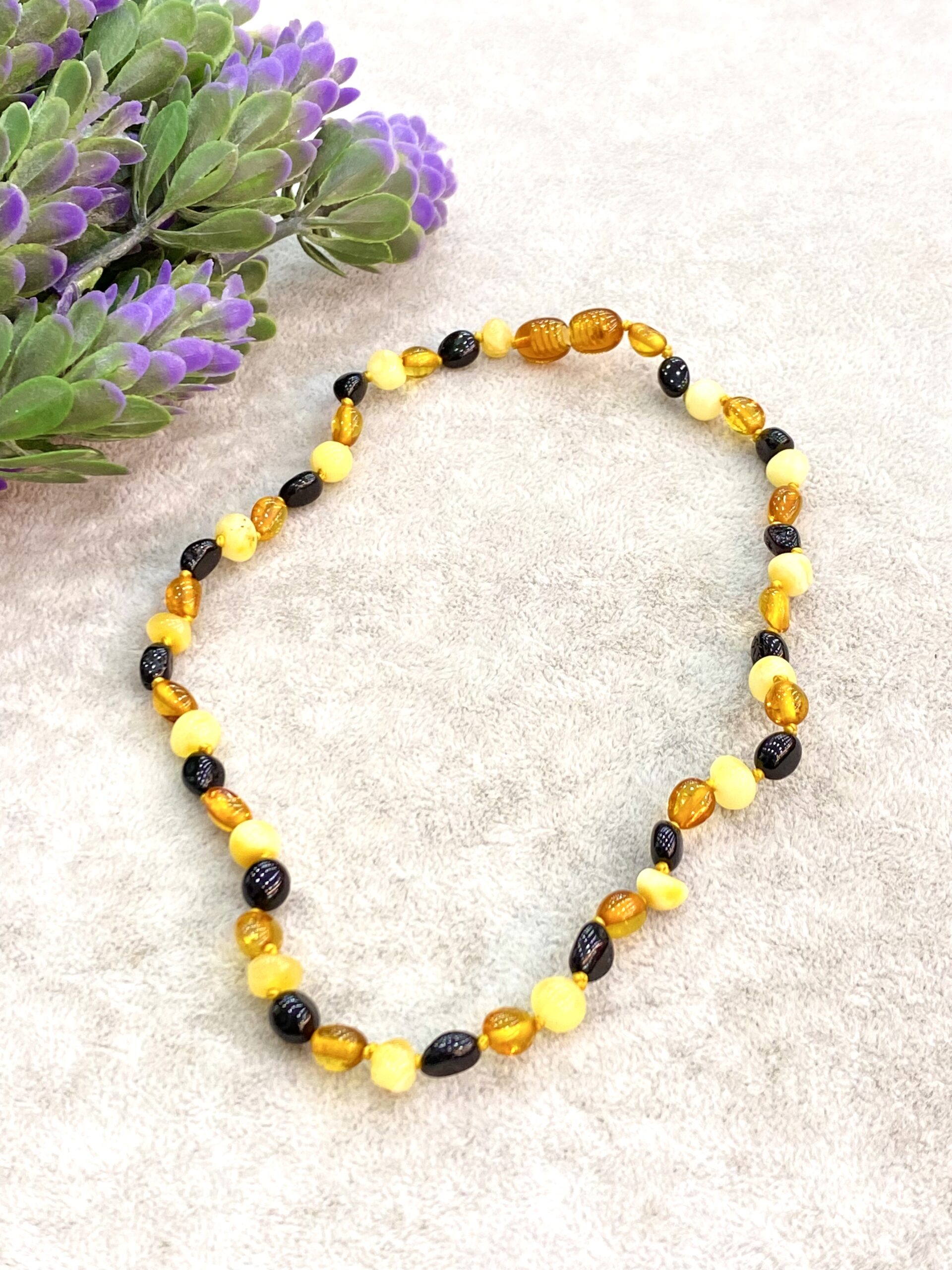 Amber Baby Diş Necklace