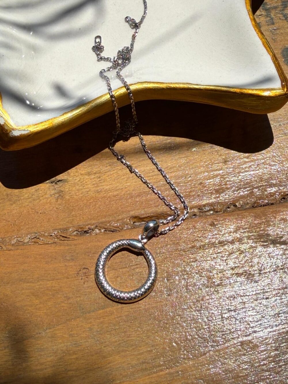Ouroboros Sembol Gümüş Kolye